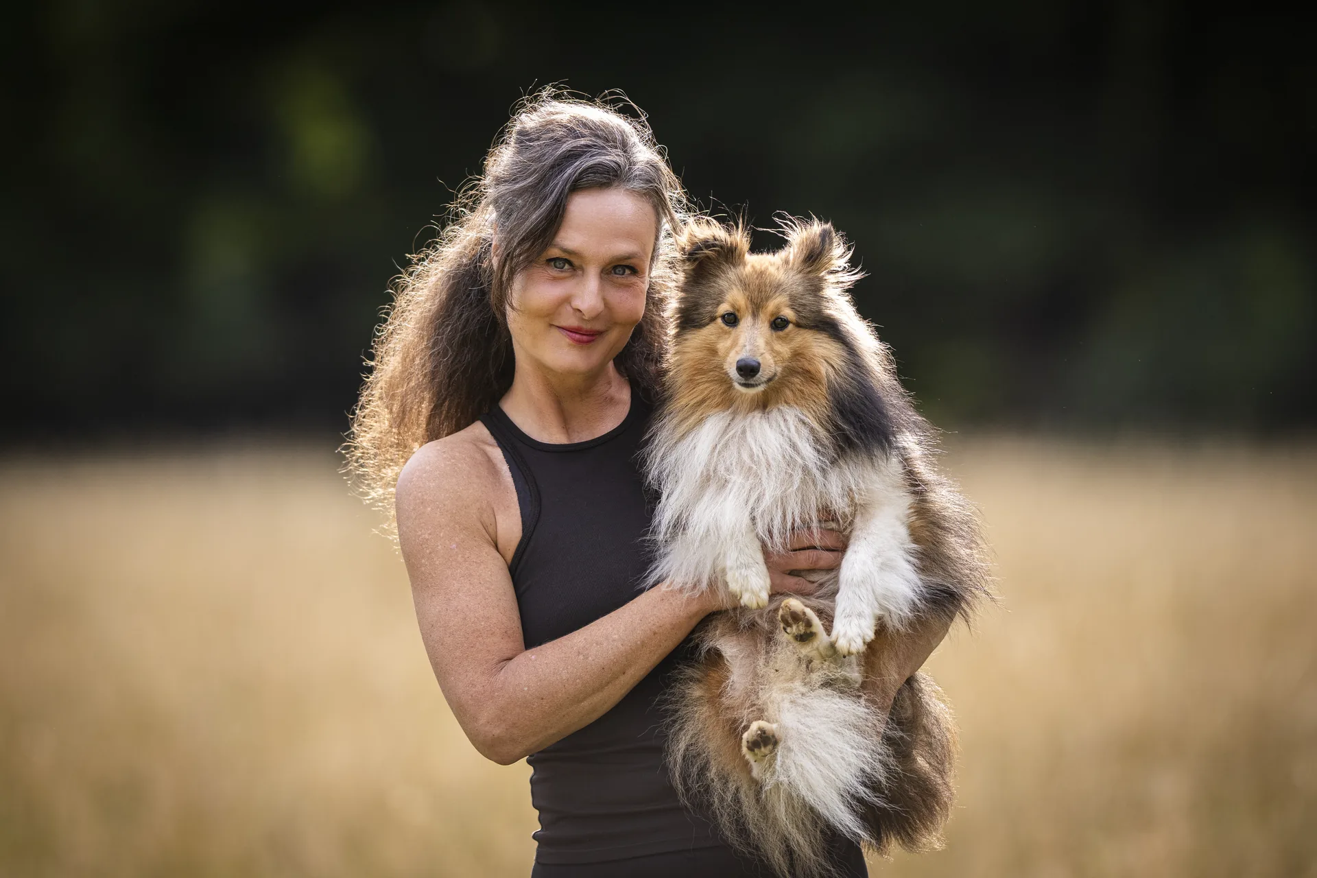 Junger Hund beim Kennenlernen